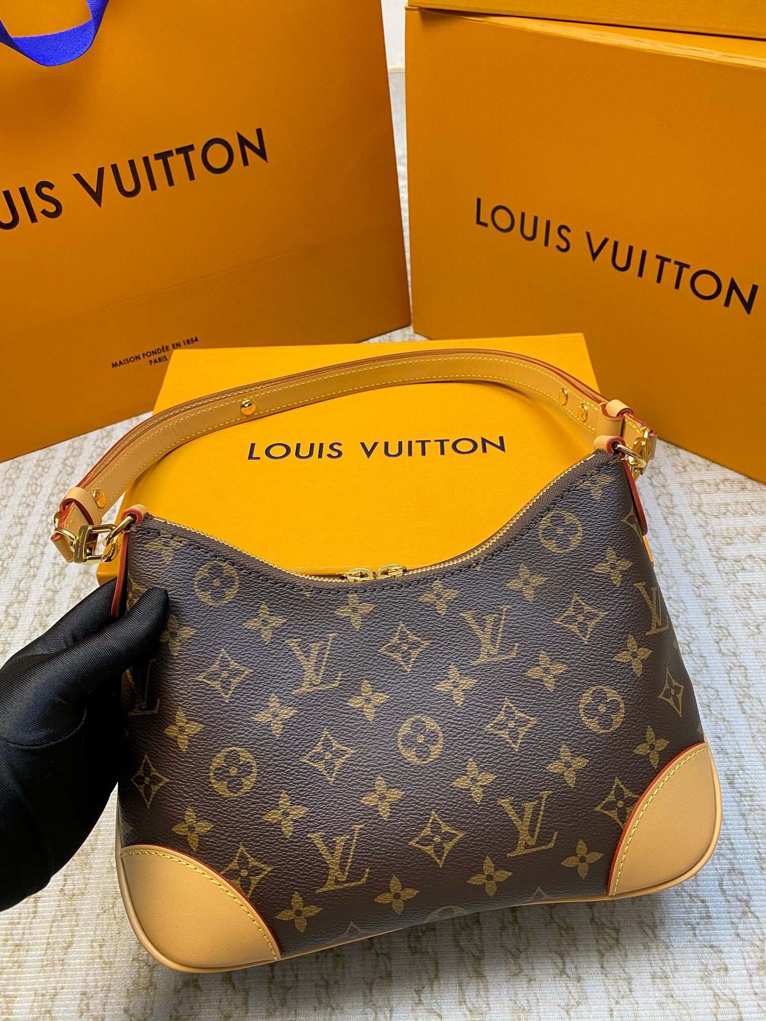 LV Hobo Bags